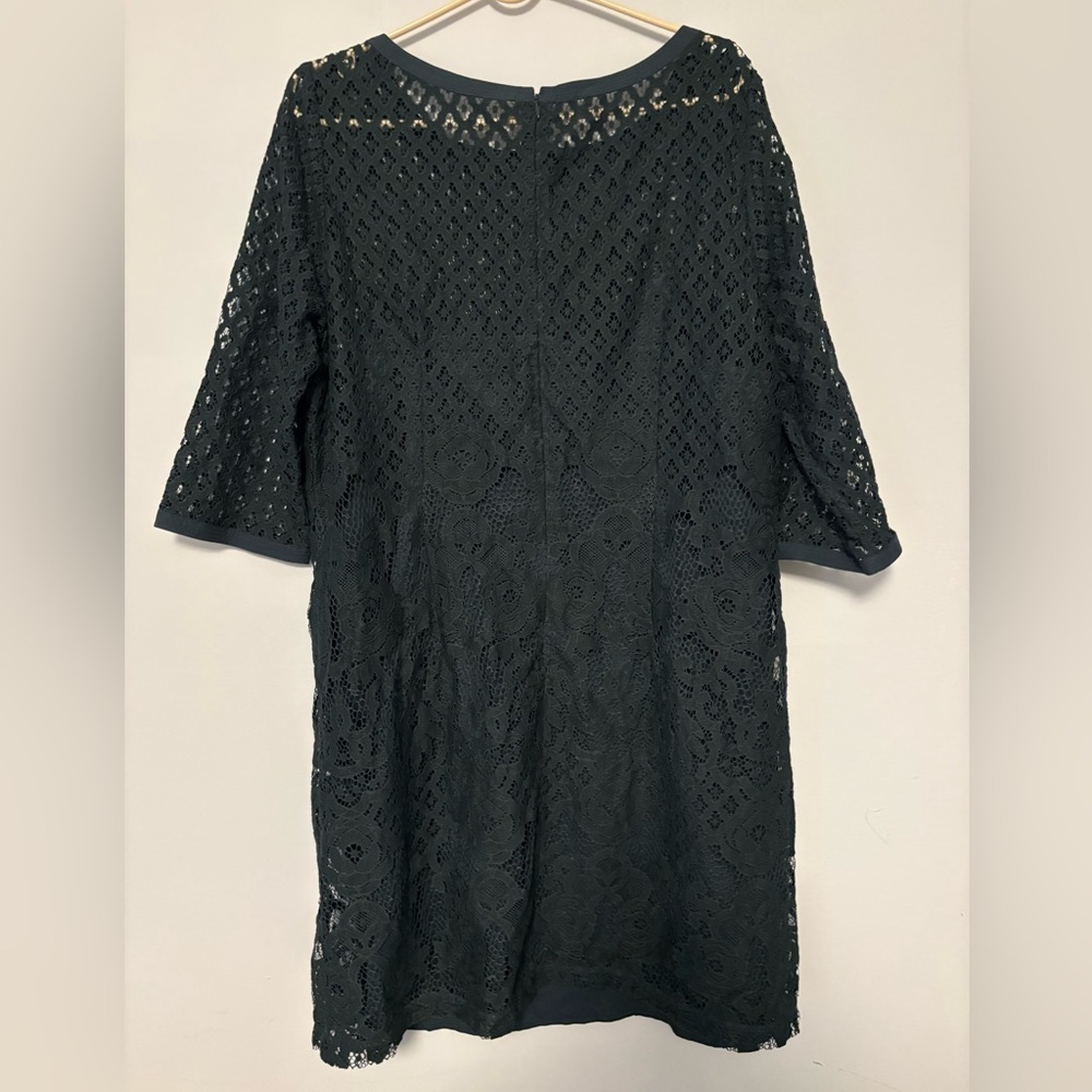 loft green Lace Dress